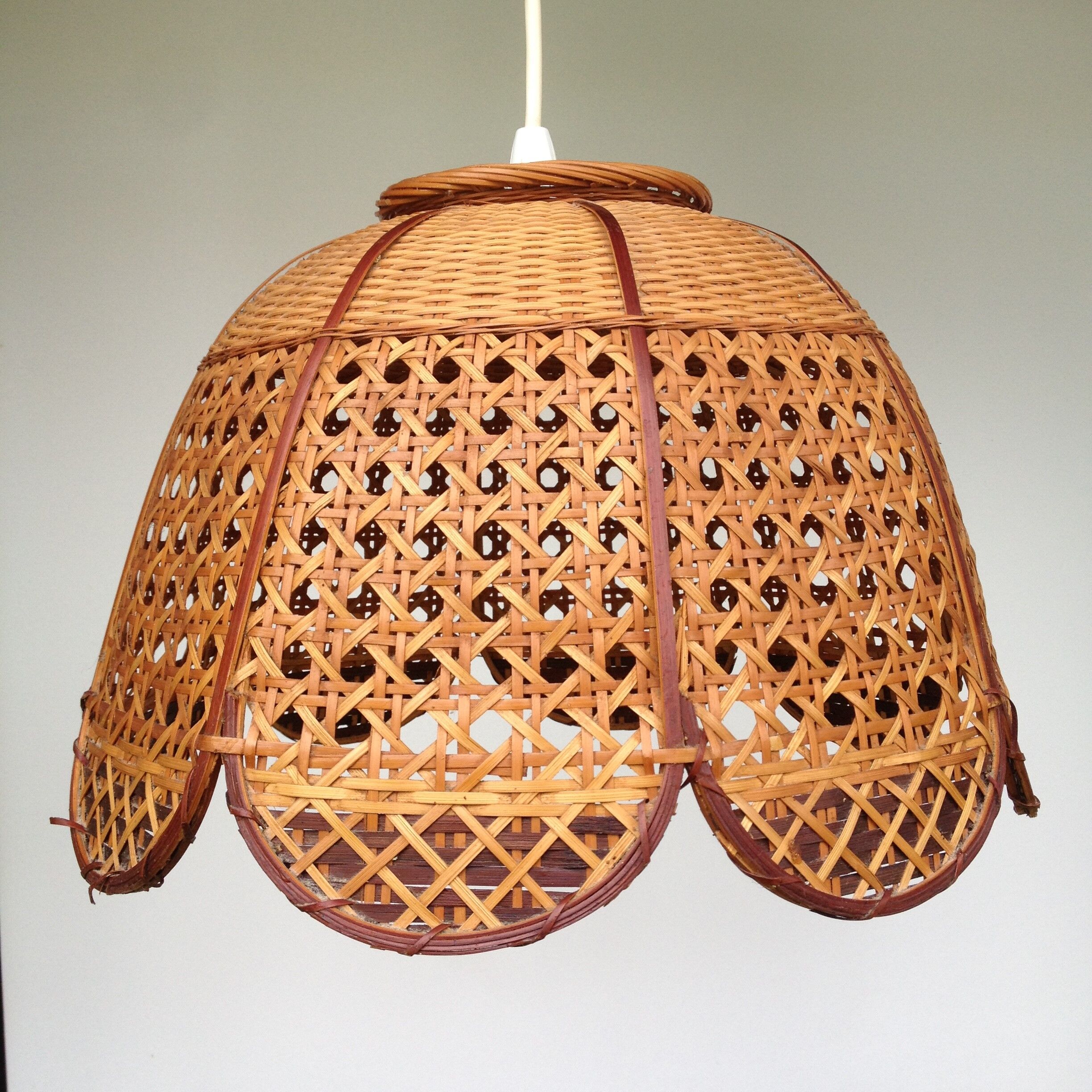 Cane and braided rattan hanging lamp