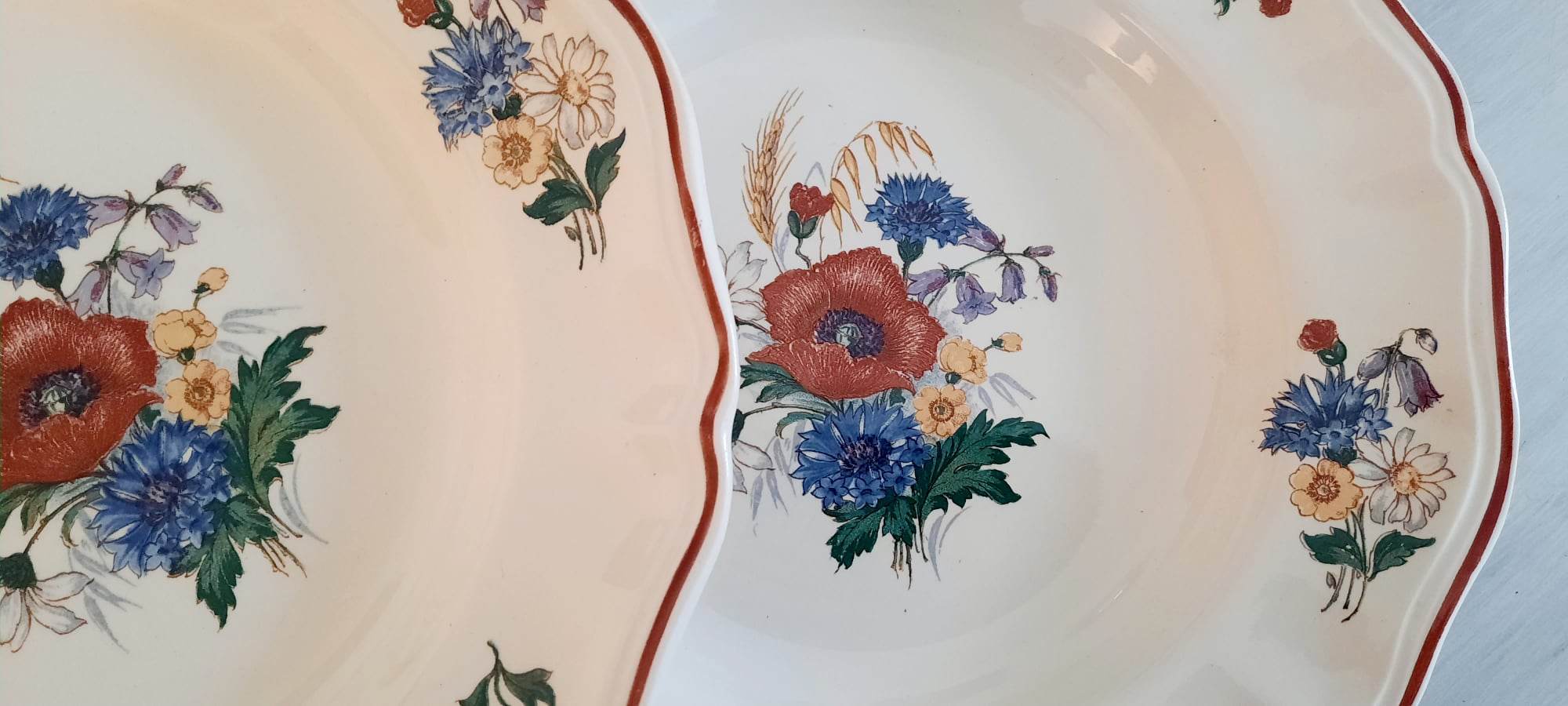 Hollow plates in earthenware Sarreguemines Model "Agreste" Vintage