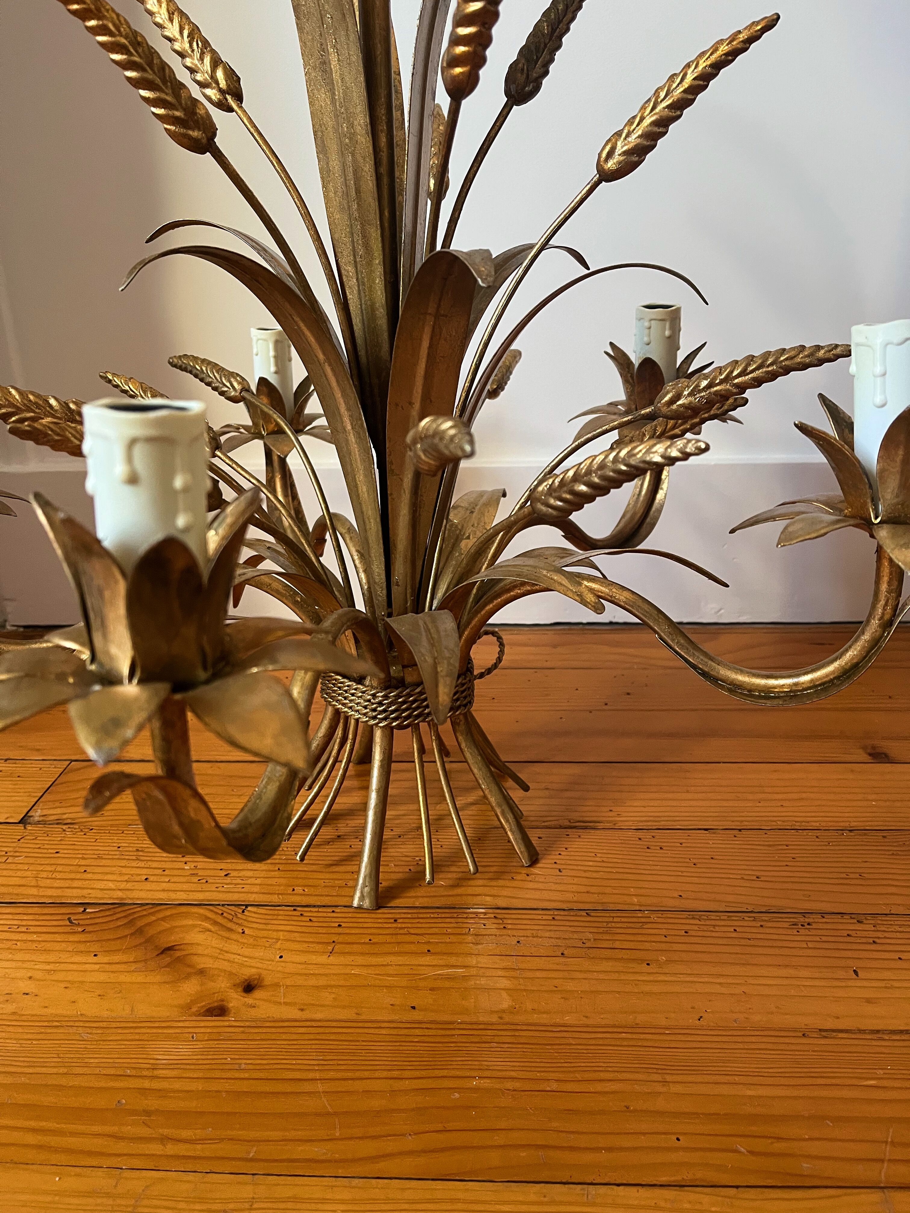 Golden wheat coat luster