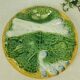 Asparagus plates Iron Earth