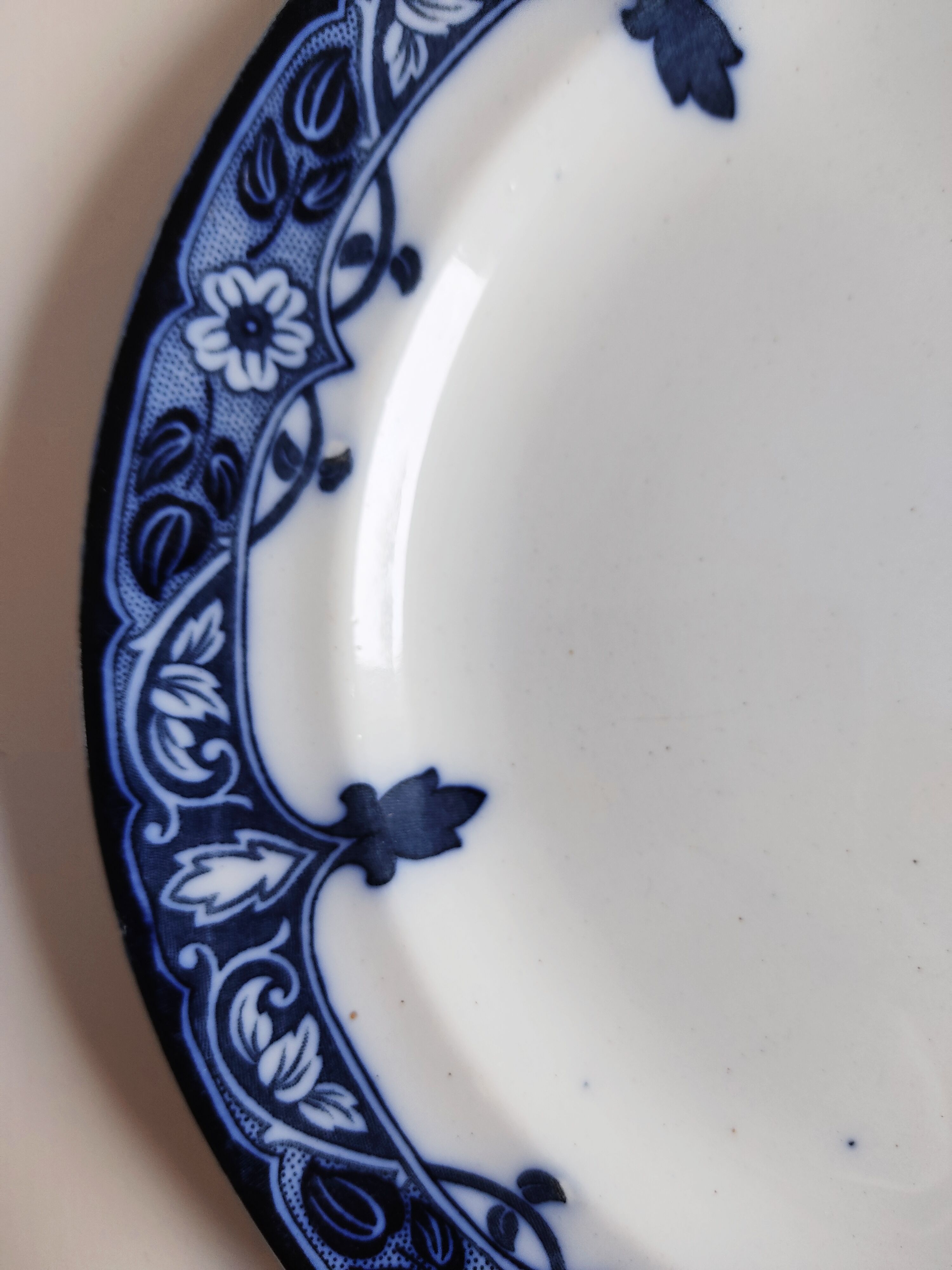 Paire d'assiettes anglaises décor bleu