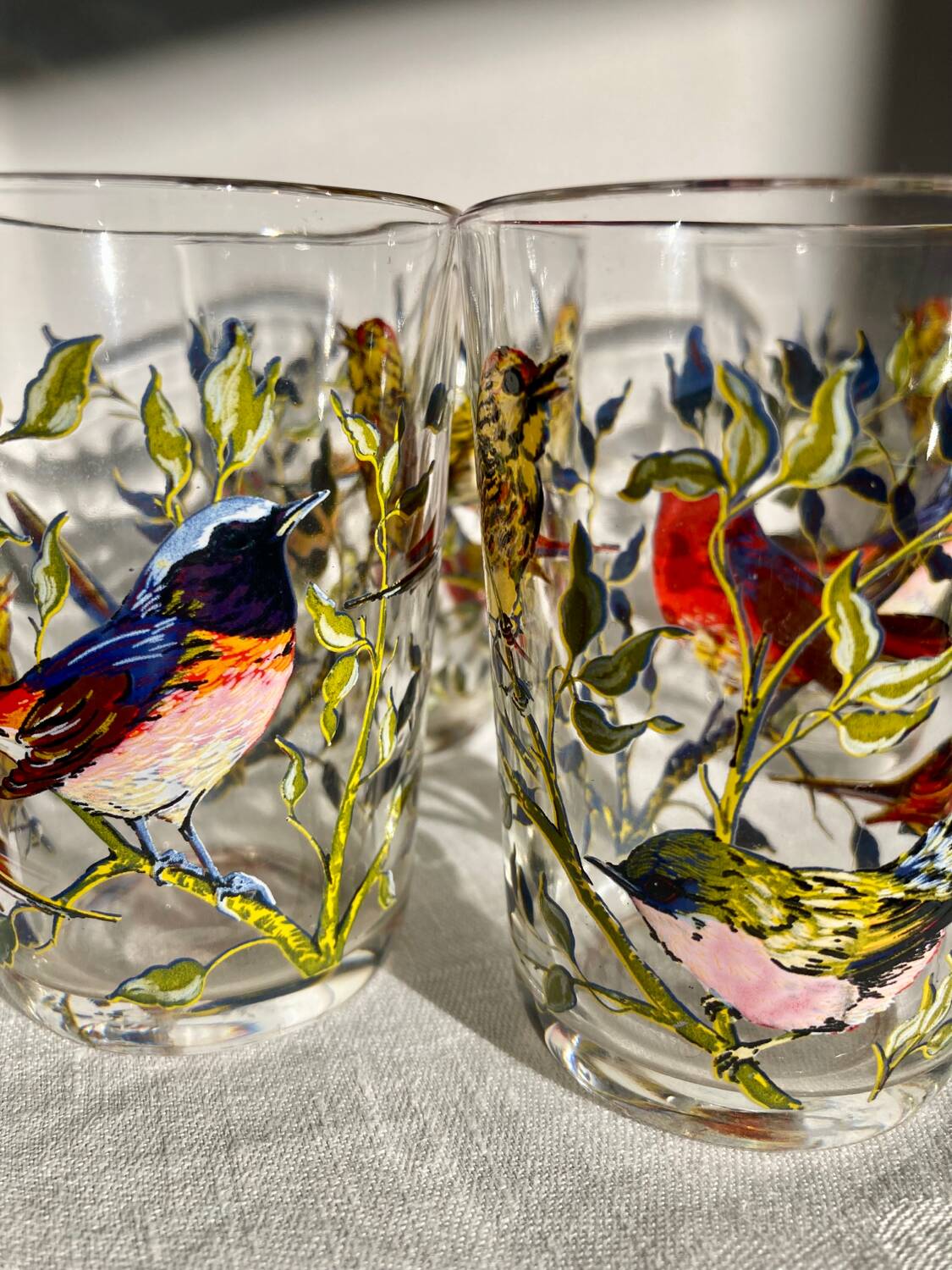 Set of 4 bird-patterned water glasses
