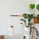 Teak hanging lamp with three lamps, Mid Century chandelier made of glass and teak
