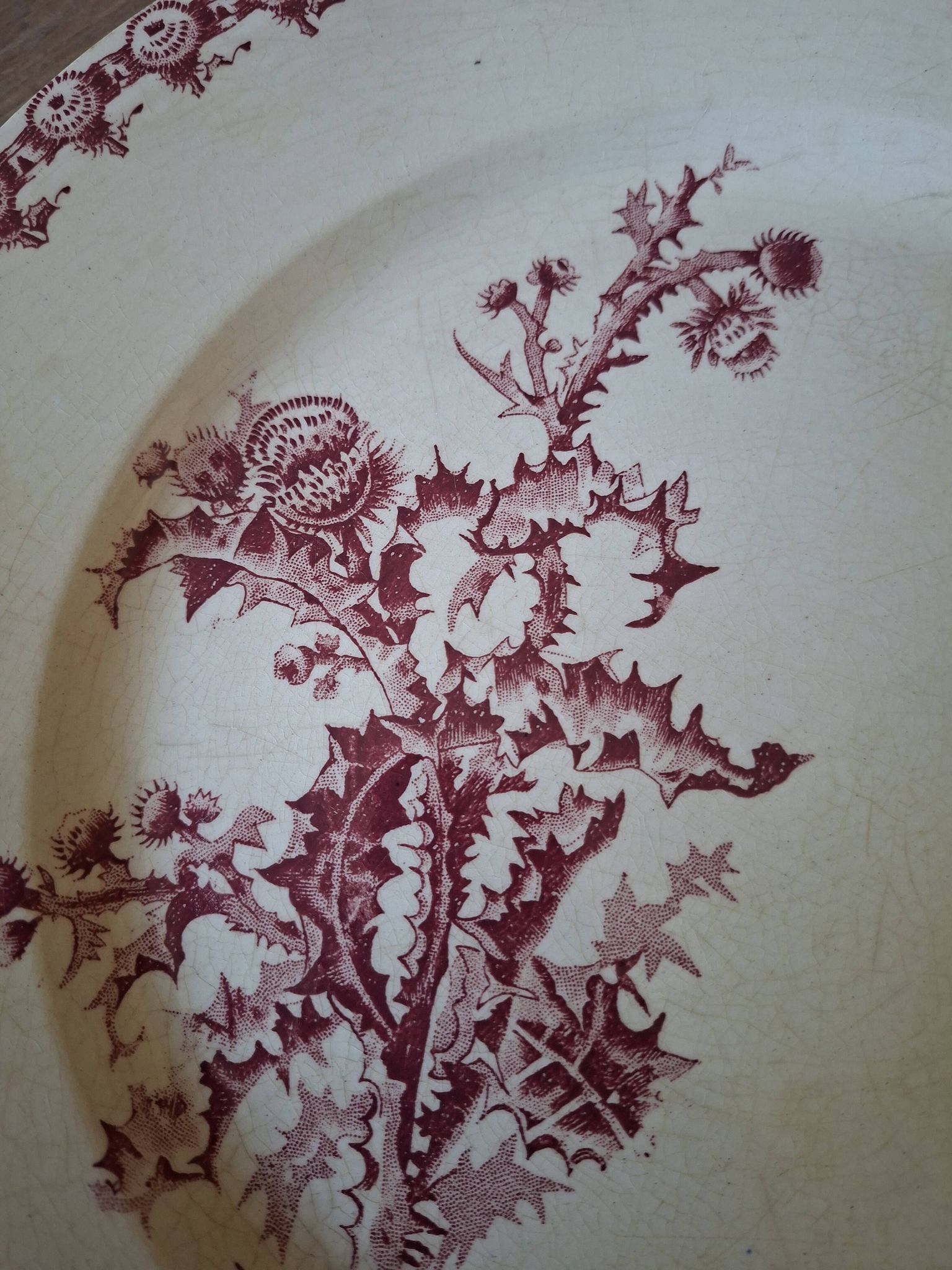 Plat faïencerie girns chardon in red