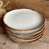 5 stoneware plates
