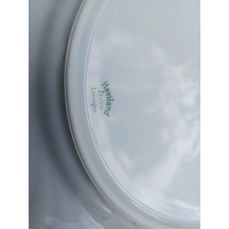 Haviland Limoges porcelain dinnerware set