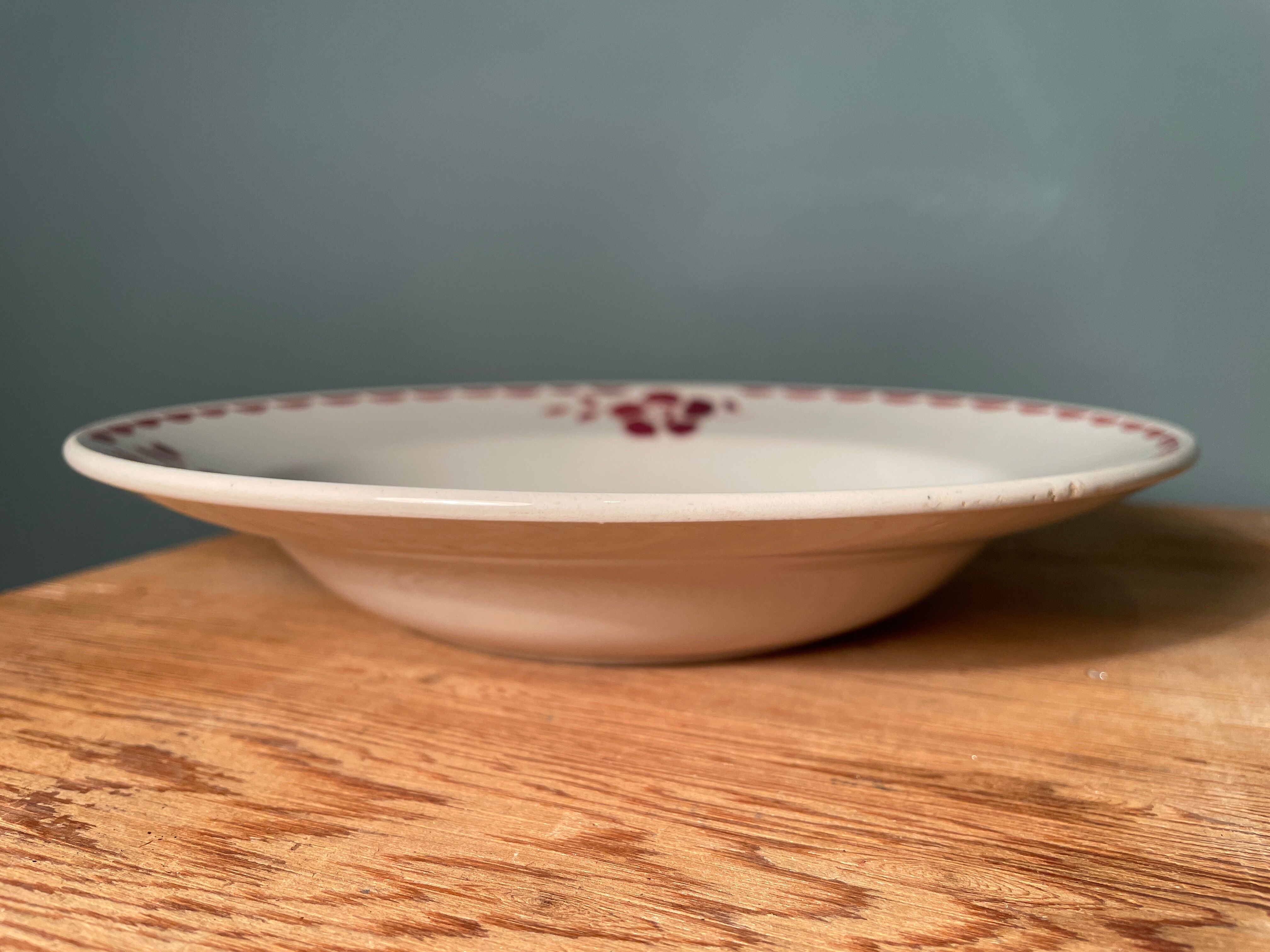 Set of 11 hollow plates Céranord St Amand model Jane