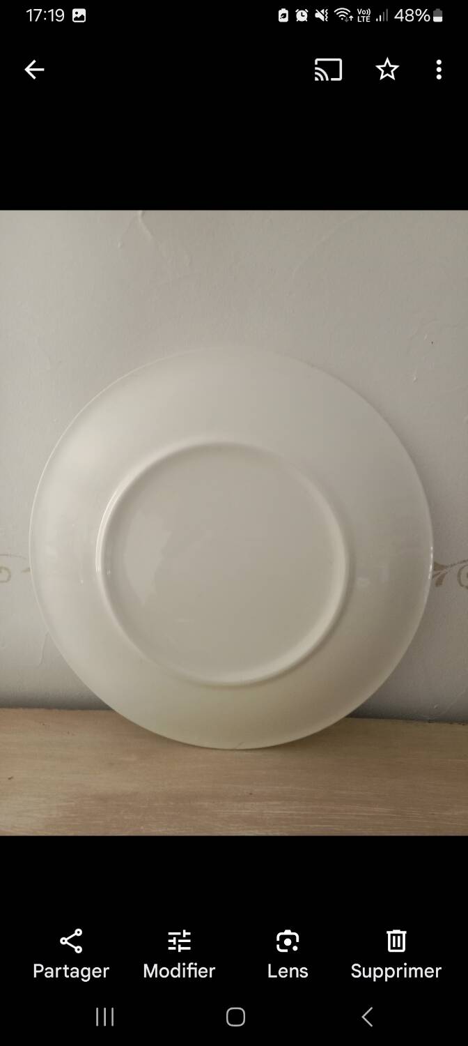 Gien porcelain plate