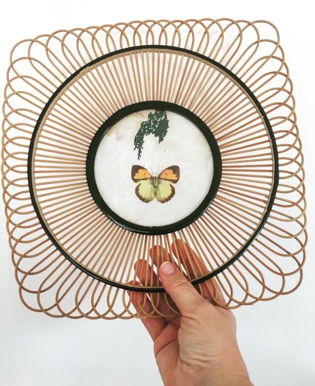 Wicker and butterfly fruit basket