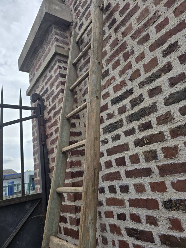 Ancien échelle en tronc d'arbre