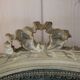 Pair of Louis XVI style medallion back chairs