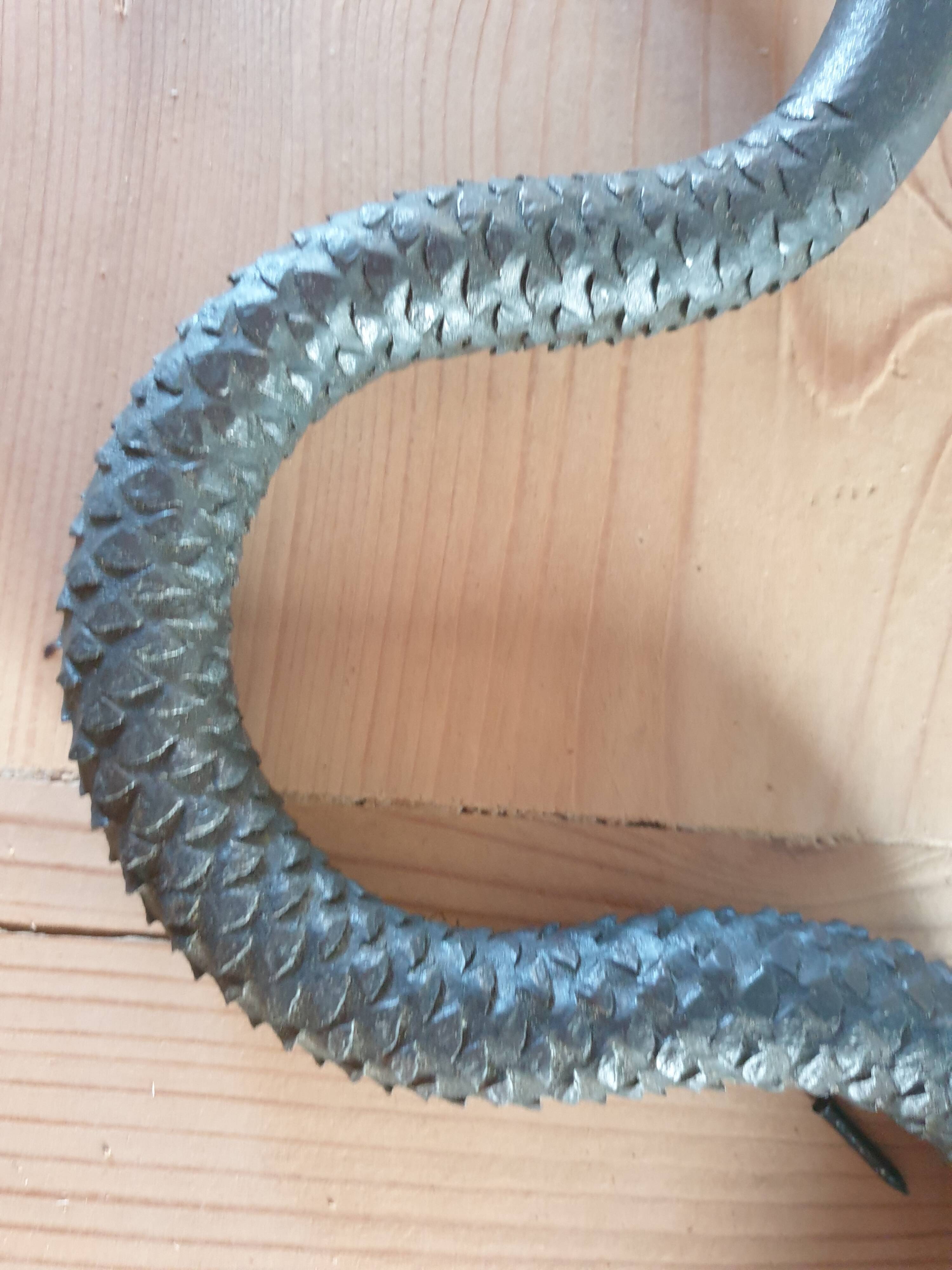 Serpent rappe a bois