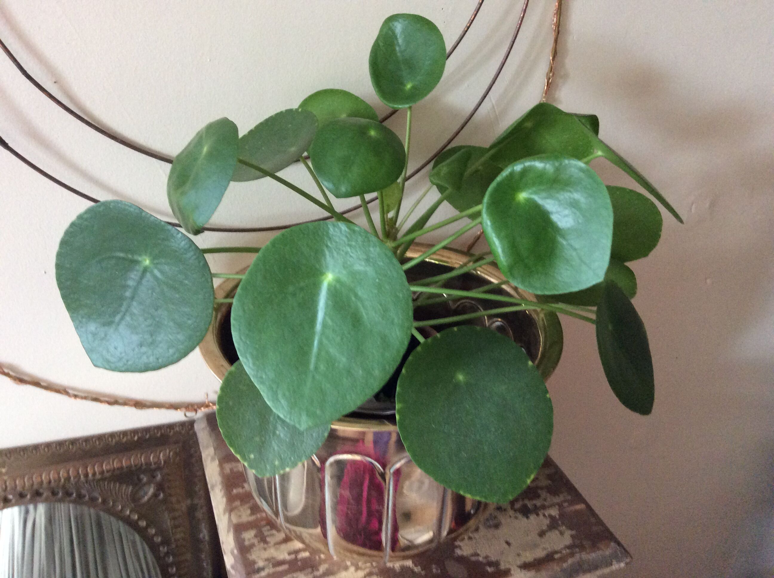 Copper pot cover