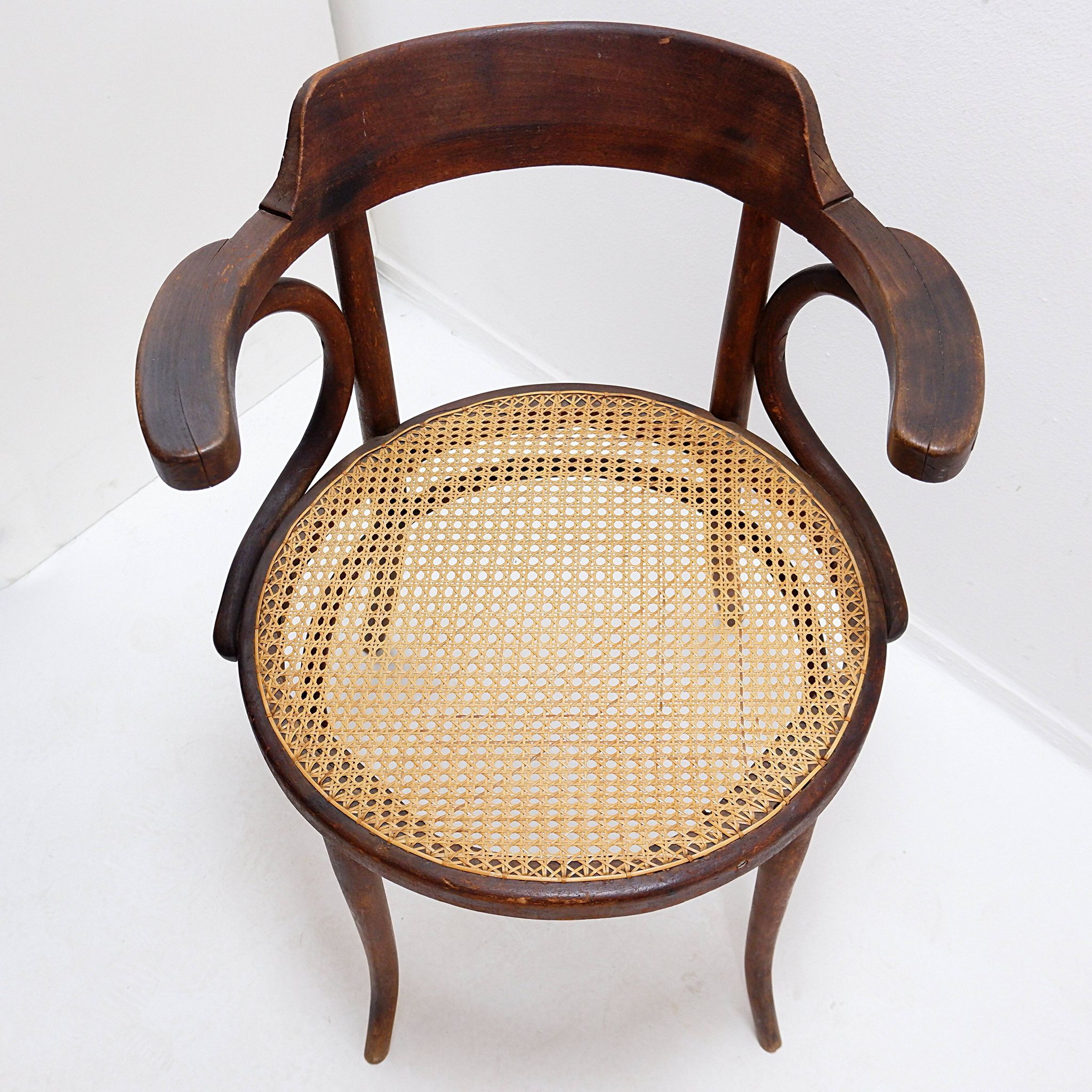 Chaise ou fauteuil en bois courbé style Thonet - années 1950