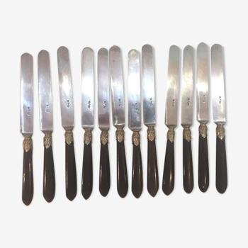 Set of 12 dessert knives Napoleon III brand r m