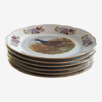 Lot de 6 assiettes thème oiseaux sauvages/chasse