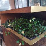 Planted 70s radio cabinet