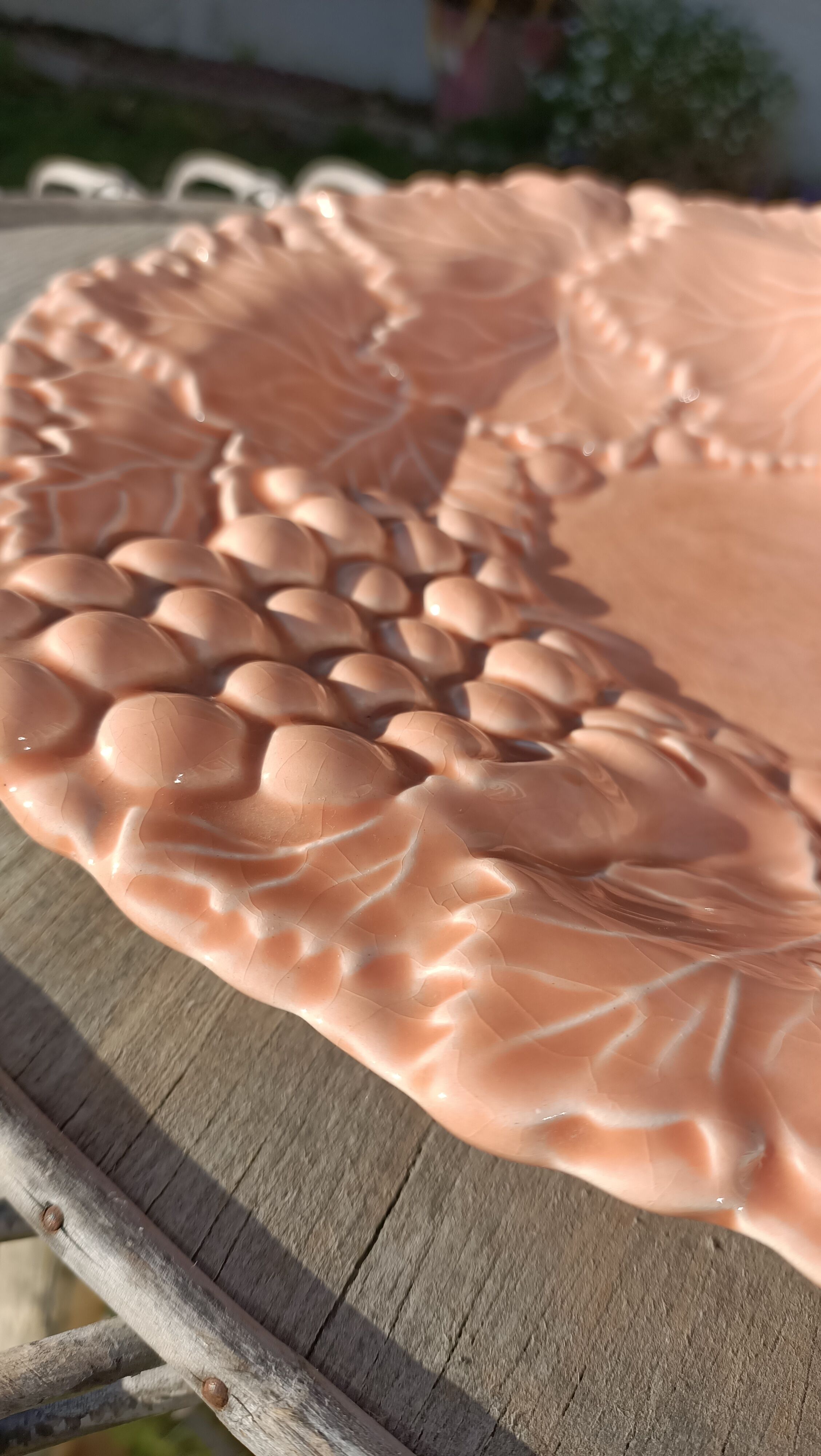 Drainer and slurry dish