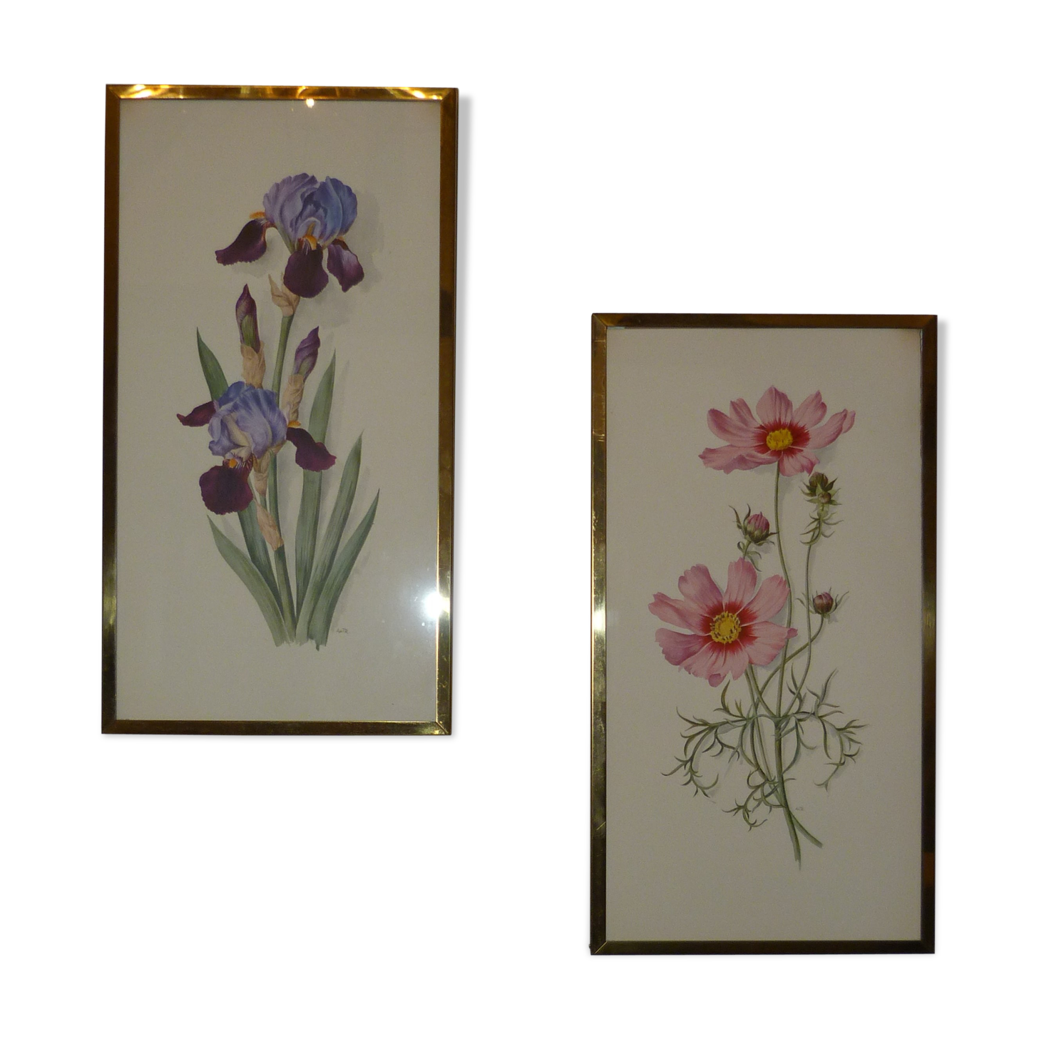 Pair of floral lithographs