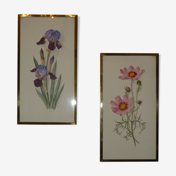 Paire de lithographies florales