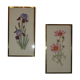 Paire de lithographies florales
