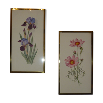 Pair of floral lithographs