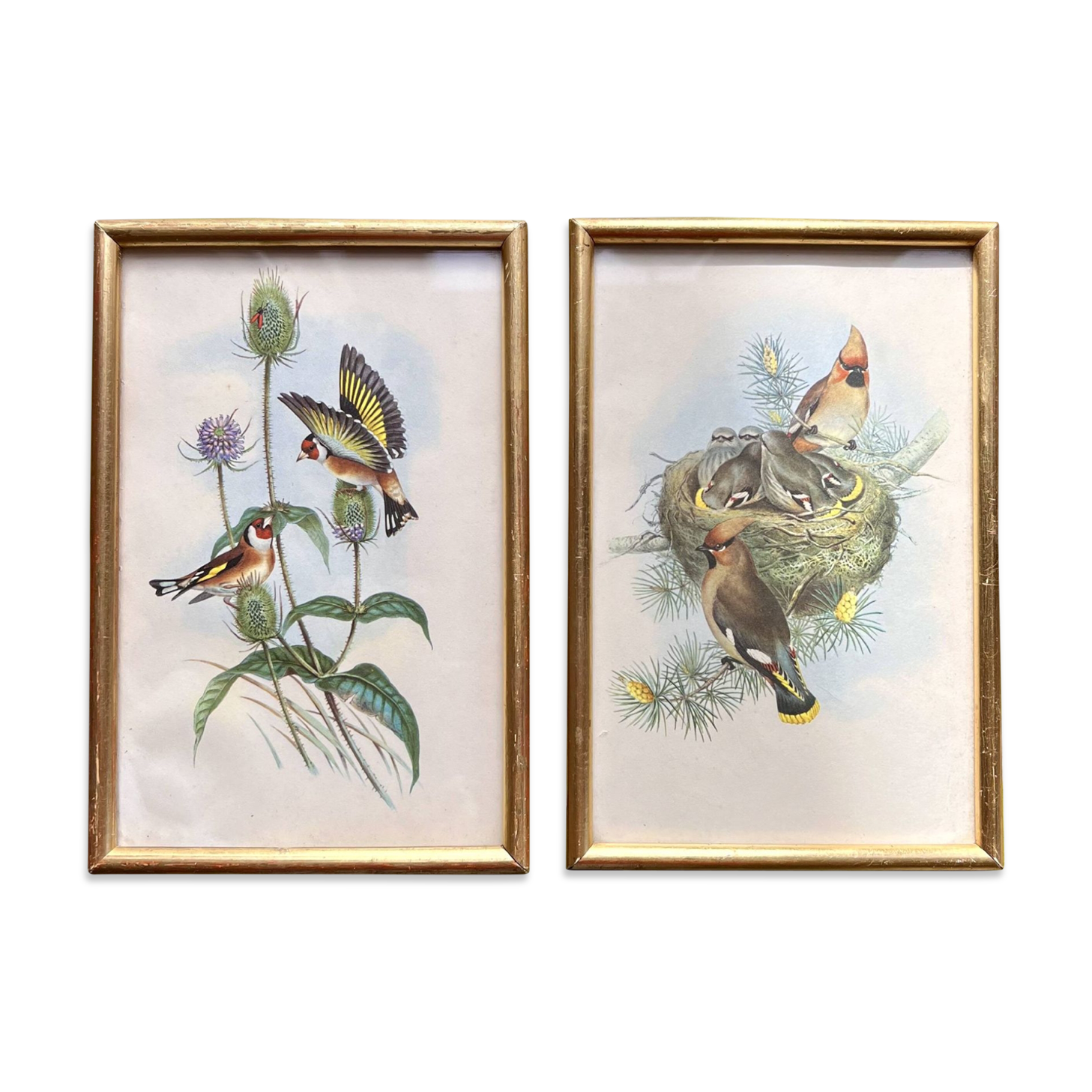 Pair of bird frames