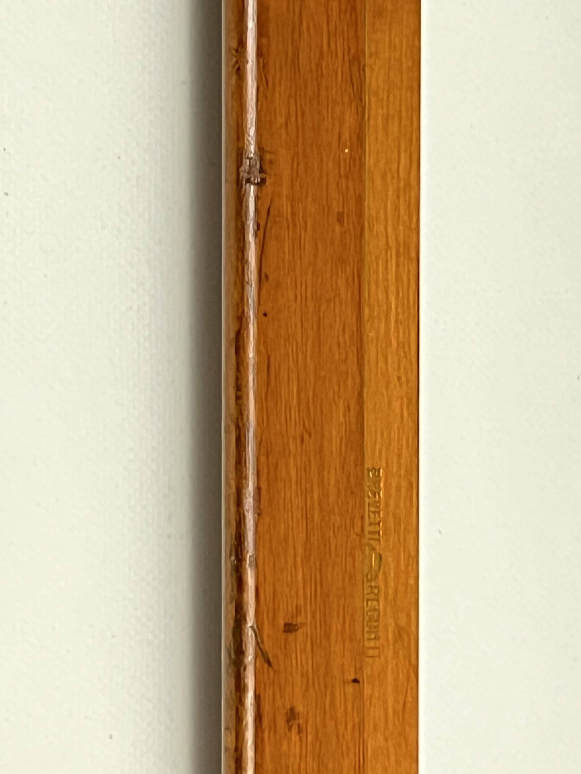 Chaises Eden par Gio Ponti pour Fratelli Reguitti, années 1960, ensemble de 4