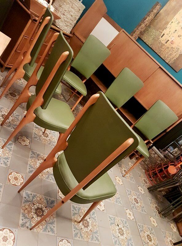 Ensemble de 6 chaises Stella Durera 1960