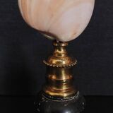 Cabinet of Curiosities codakia tigerina shell on base
