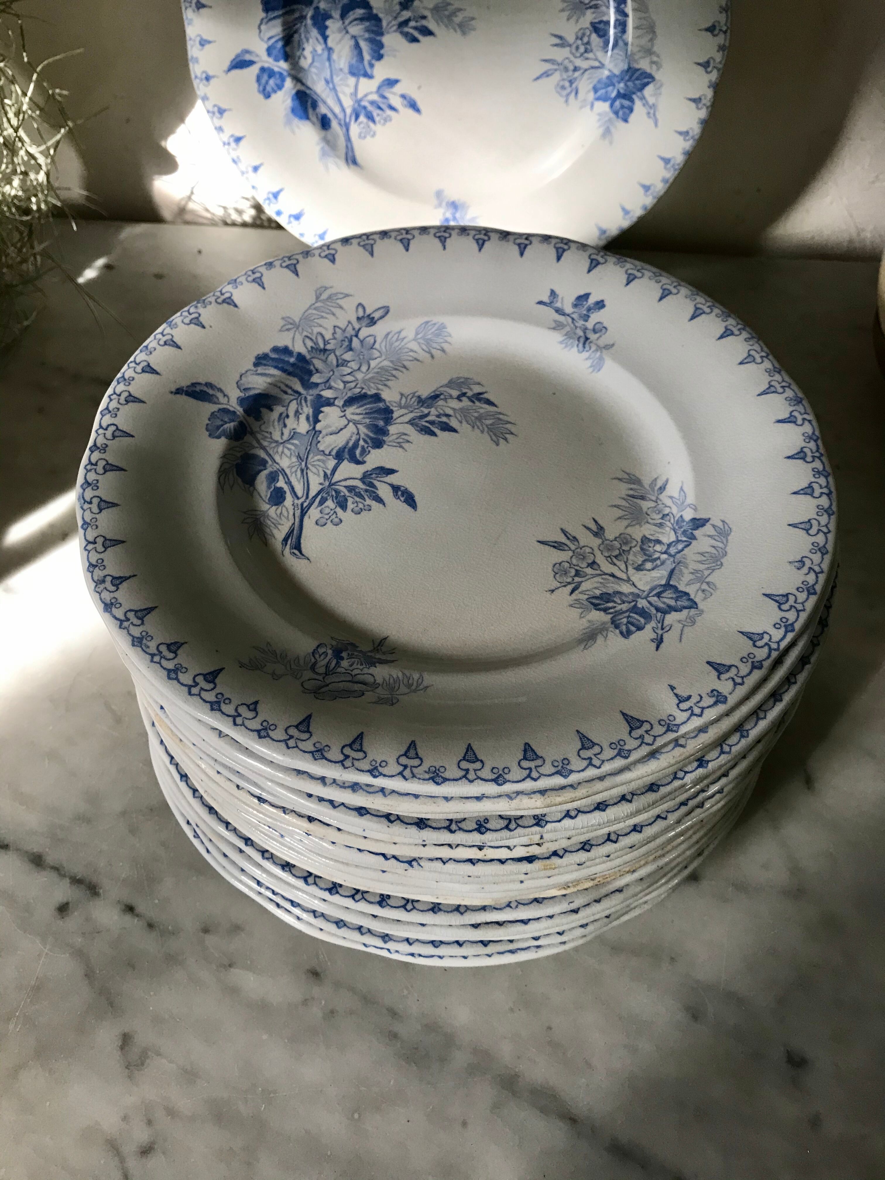 9 flat plates Sarreguemines