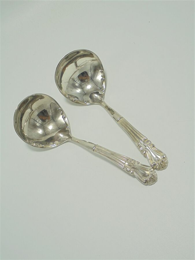 Duo of little ladle