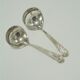 Duo of little ladle