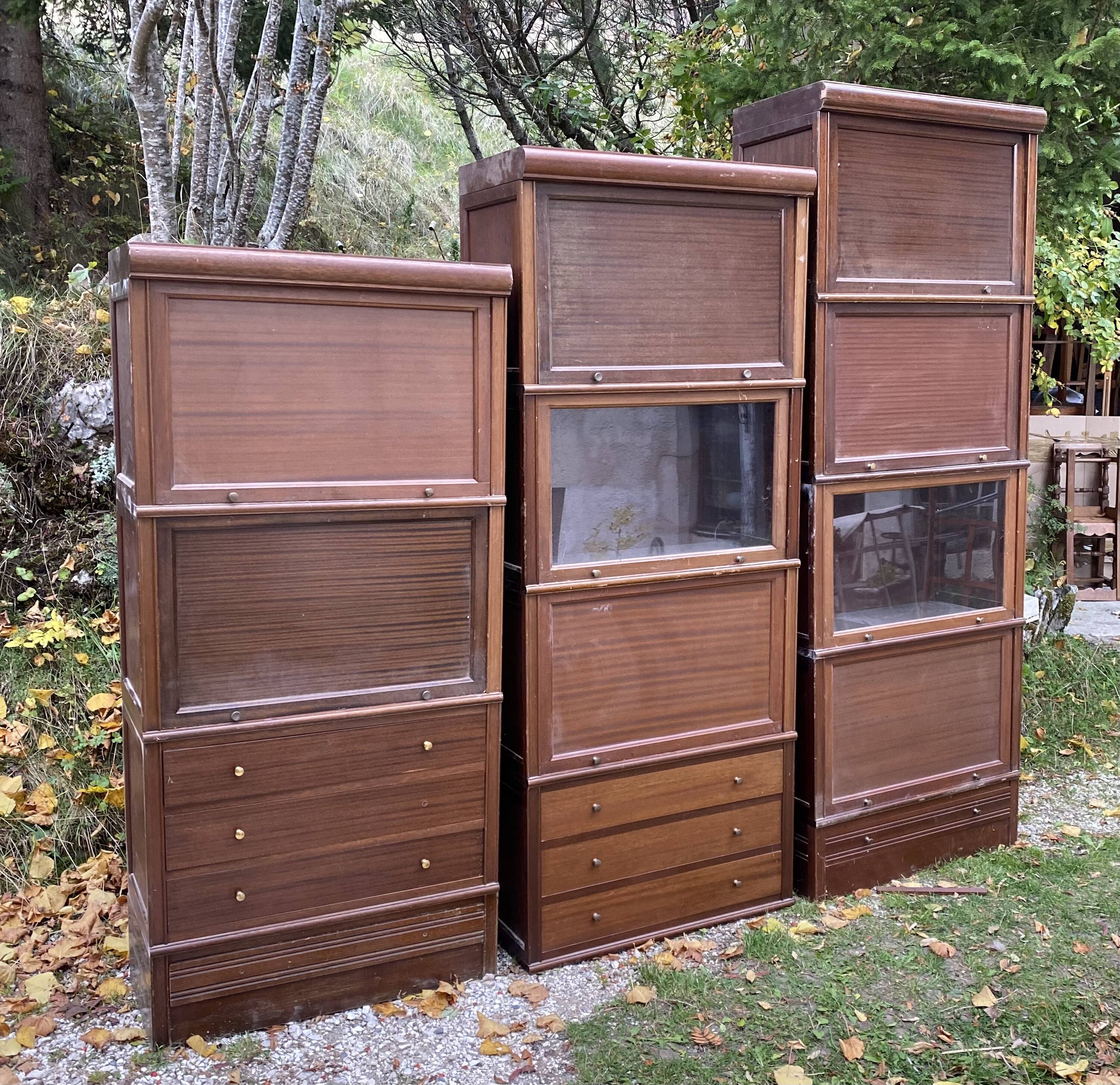 Modular library M.D vintage 1960