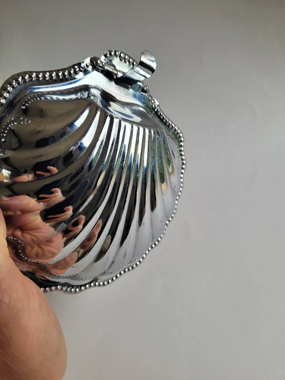 Butter dish / silver metal shell pocket