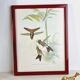 Lot de 7 chromolithographies oiseaux années 50