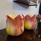 Pair of art nouveau plants signed delphin massier vallauris