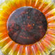 9 small plates sunflower oil lesieur Duralex