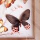 Cadre en bois doré avec papillons naturalisés