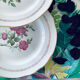 6 assiettes plates