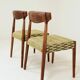 Dining chair set of 2 fiore green