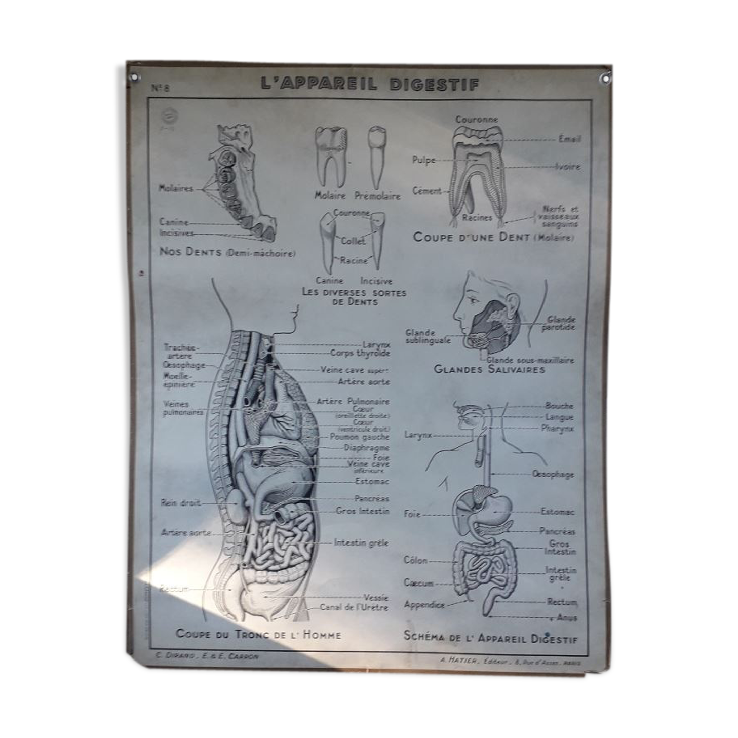 School poster science