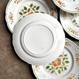 6 flat plates in glazed earthenware
