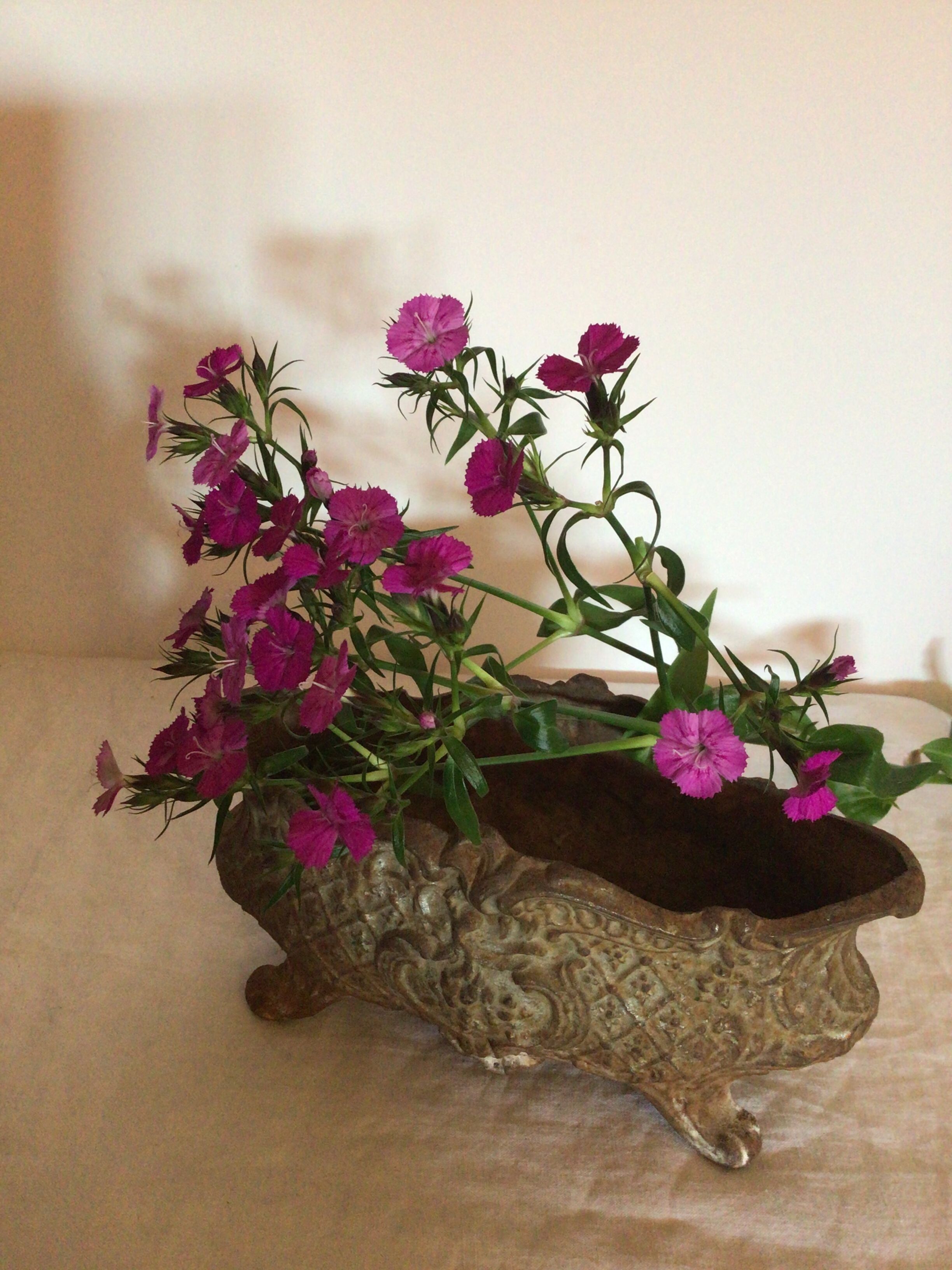 Old cast iron planter