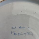 Earthenware plate