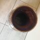 Vase 60s scheurich west germany