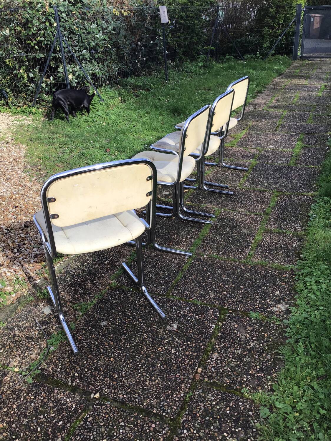 Vintage chairs