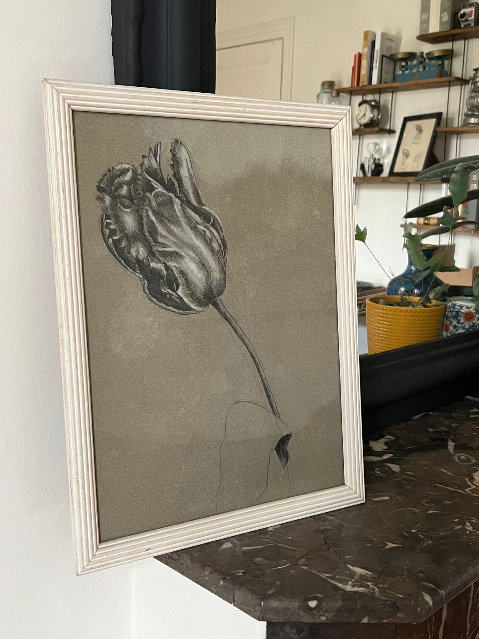 Etude documentaire d'une fleur, drawing, Dumant, 1951