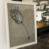 Etude documentaire d'une fleur, drawing, Dumant, 1951
