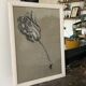 Etude documentaire d'une fleur, dessin, Dumant, 1951
